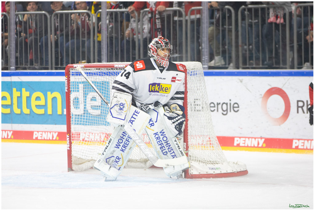 PENNY DEL;  Koelner Haie - Krefeld Pinguins; Koeln, 31.10.2021